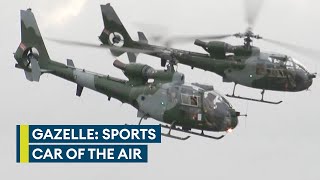 Gazelle: The British Army's 'sports car of the air that could bite back'