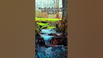 ما تيسر من سورة فاطر بتلاوة تريح القلب والبدن للشيخ عمر بن ضياء الدين#قرآن#foryou#عمر_ضياء_الدين#fyp