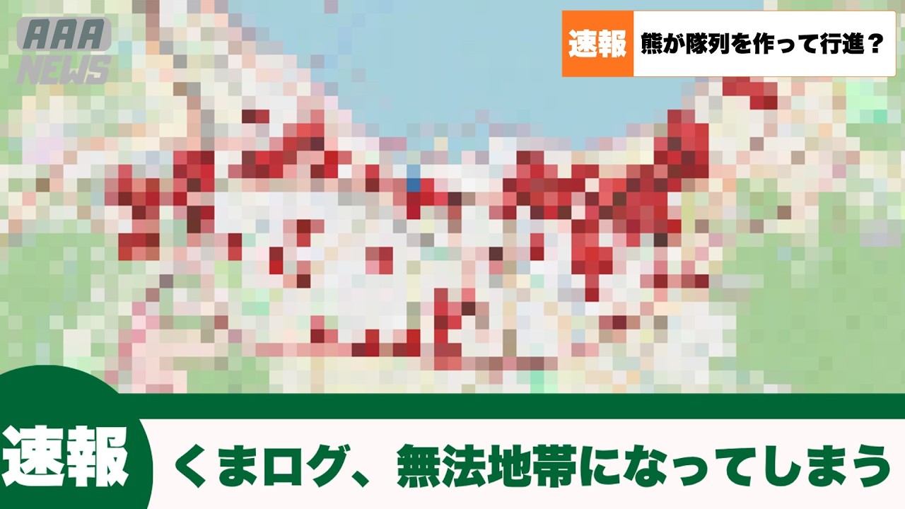 【速報】あのくまログが無法地帯になってしまう