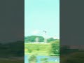 秦 基博「ひとひら」（TVアニメ『透明な夜に駆ける君と、⽬に⾒えない恋をした。』OPテーマ） #かけ恋 #アニメ #秦基博