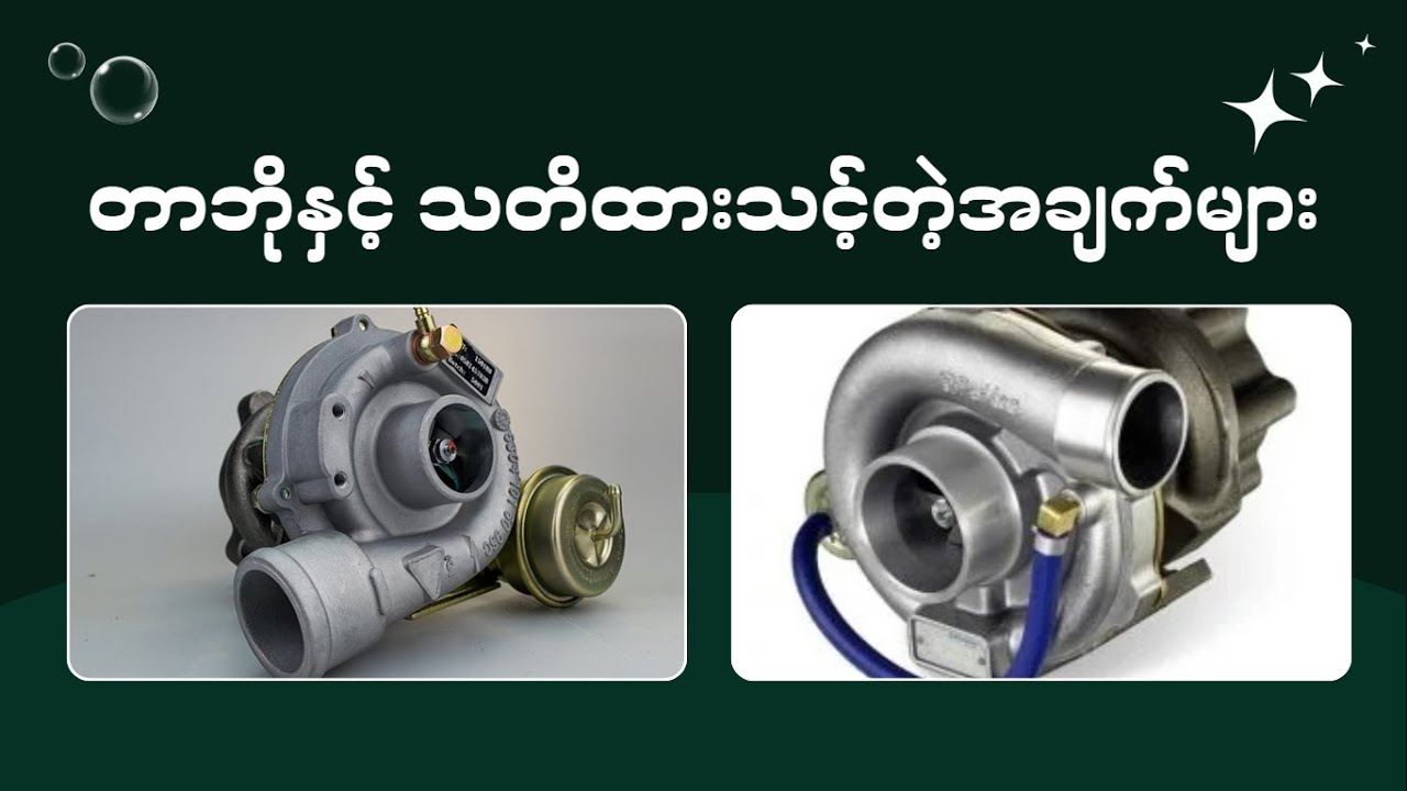 တာဘိုပါတဲ့ကားနှင့် သတိထားသင့်တဲ့အချက်များ