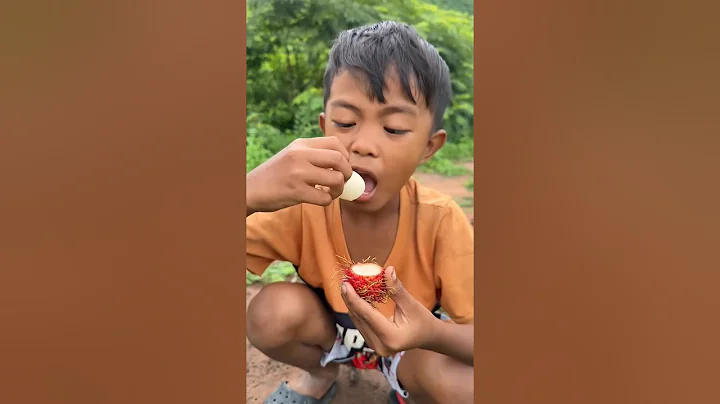 Survival Skills: 🍁Simple but Useful in jungle #bushcraft #camping #outdoors #useful #shorts 🏞️🪾