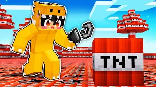 Minecraft, BUT the WORLD is TNT