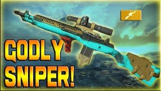 The Division - This Is The Best High End Marksman Rifle!