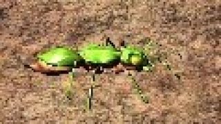 Bug battle simulator 2nd boss in backyard.(Alien ant) screenshot 5