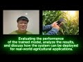 Crop Disease Detection System Using CNN and TensorFlow | Part V Testing, Evaluation, and Deployment