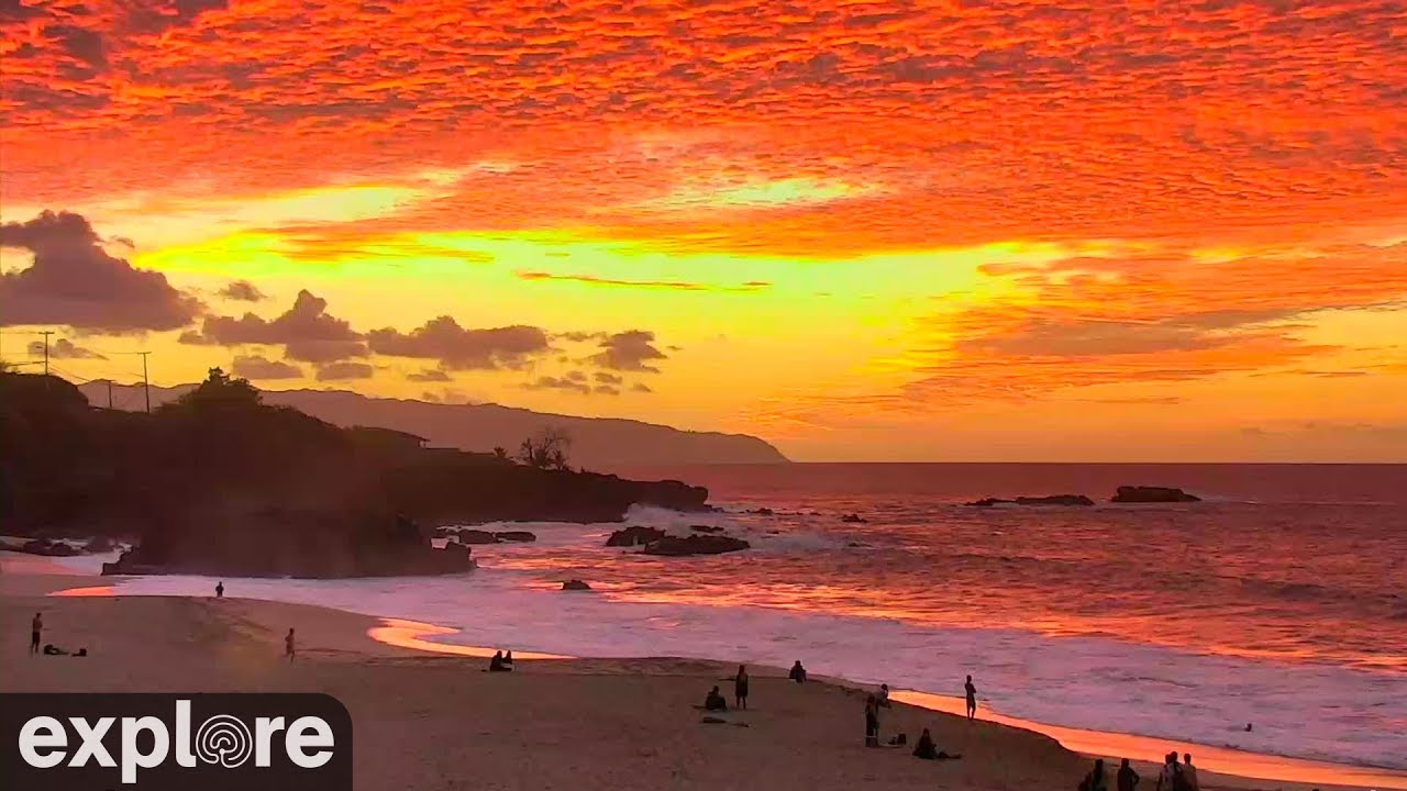 DAL VIVO @ Waimea Bay isola di Oahu – Hawaii