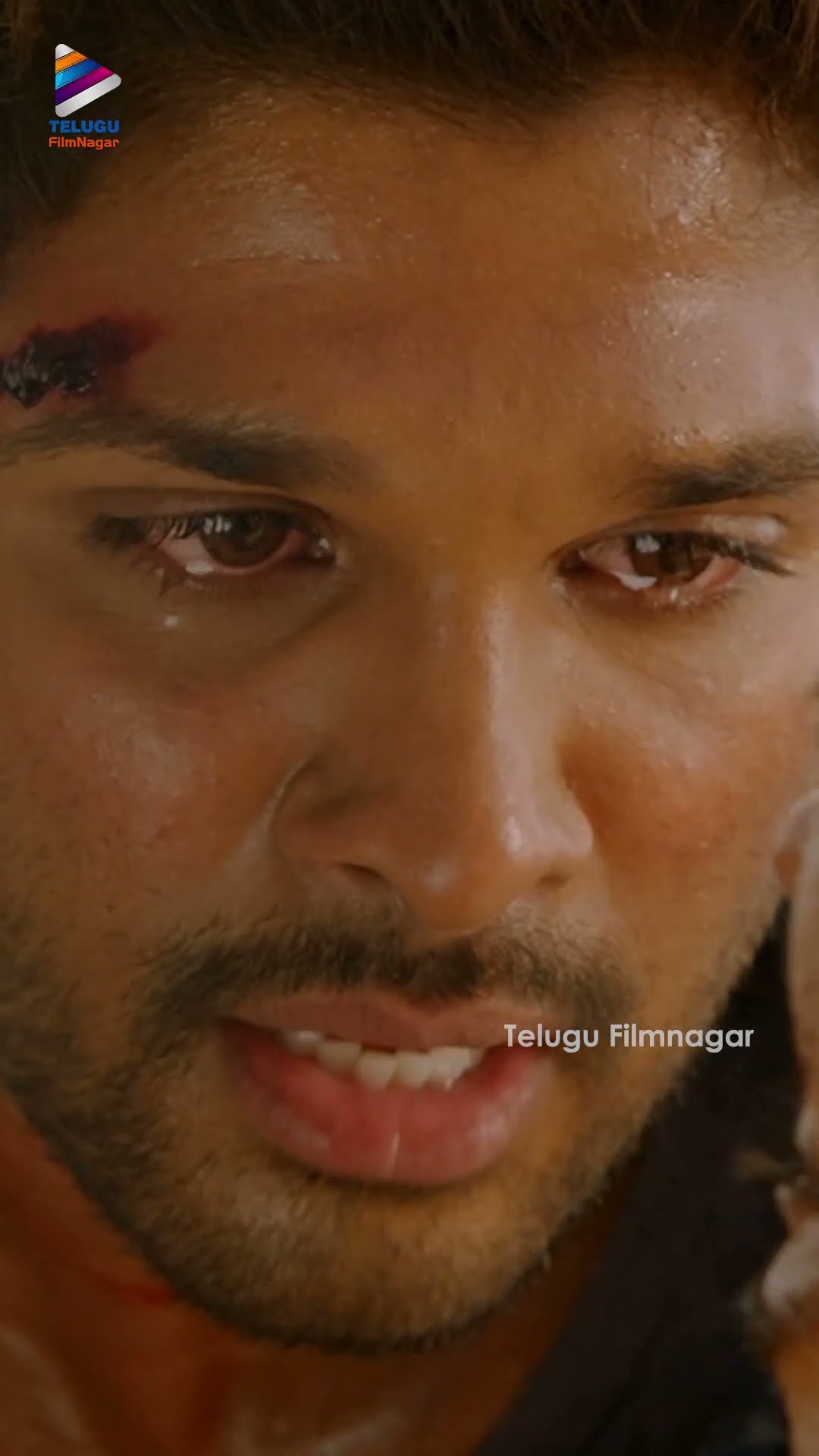 అల్లు అర్జున్ HIGH VOLTAGE యాక్షన్ సీన్ ? | #AlluArjun | #RaceGurram | #ShrutiHaasan | #Shorts | TFN