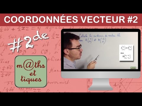 Vidéo: Comment Calculer Un Vecteur