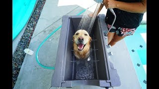 PUPPY LOVES HIS NEW CUSTOM DOG BATH  Super Cooper Sunday #157