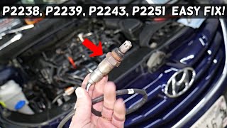 Famous HYUNDAI OXYGEN CODE P2238, P2239, P2243, P2251 HYUNDAI ELANTRA SANTA FE TUCSON ACCENT VELOSTER SONAT Profile
