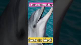 5 interesting facts || fact in Hindi