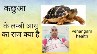 Tortoise lifeकछुवे के लम्बे जीवन का रहस्य क्या हैVehangam health.