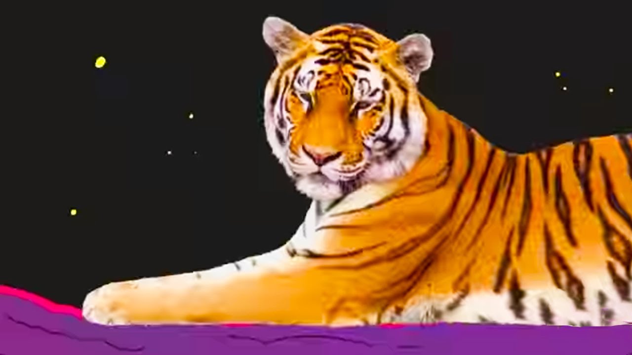 Tiger Trails (Part 2) | Uncle Grandpa | Cartoon Network Asia