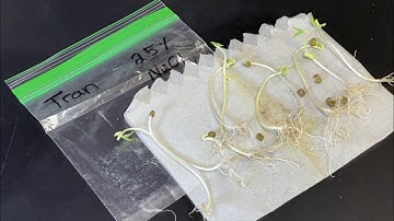 Soil Salinization Lab Results