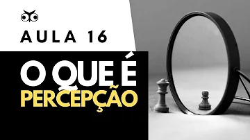 Como podemos caracterizar a percepção?