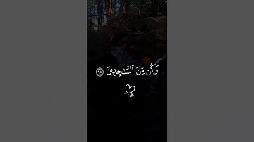 اكتب شي تؤجر عليه 🥺🎧 القارئ اسلام صبحي