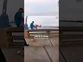 Robber Jumps Off Bridge to Dodge Cops 😳