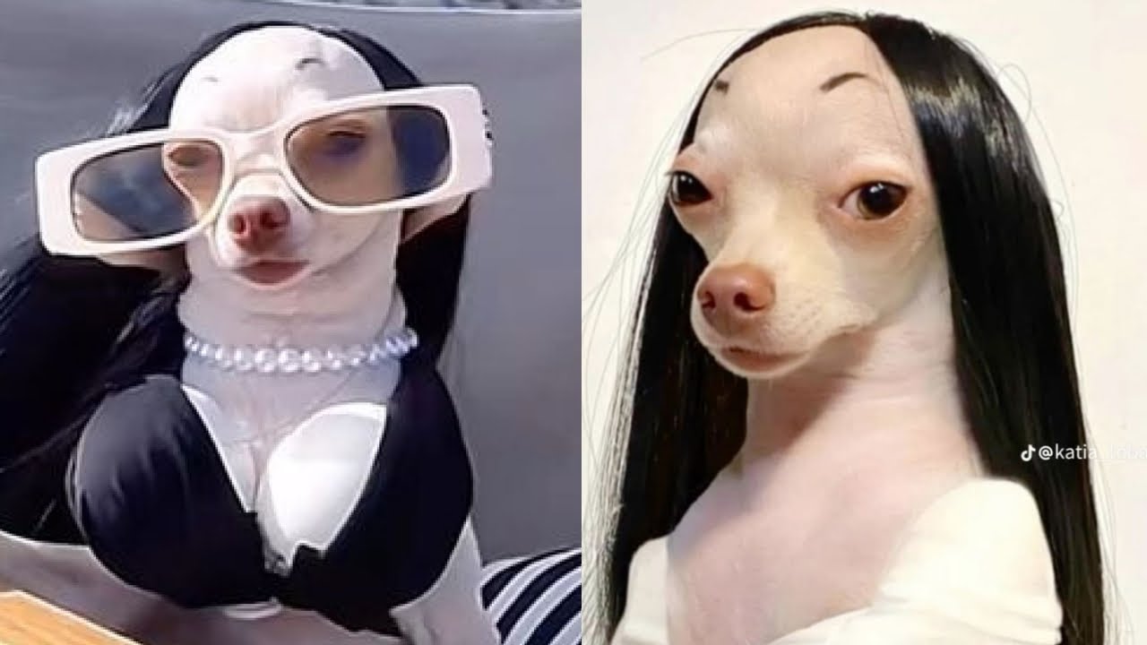 😂🐶 30 минут самых милых моментов с собаками: приготовьтесь смеяться! 😂🐶