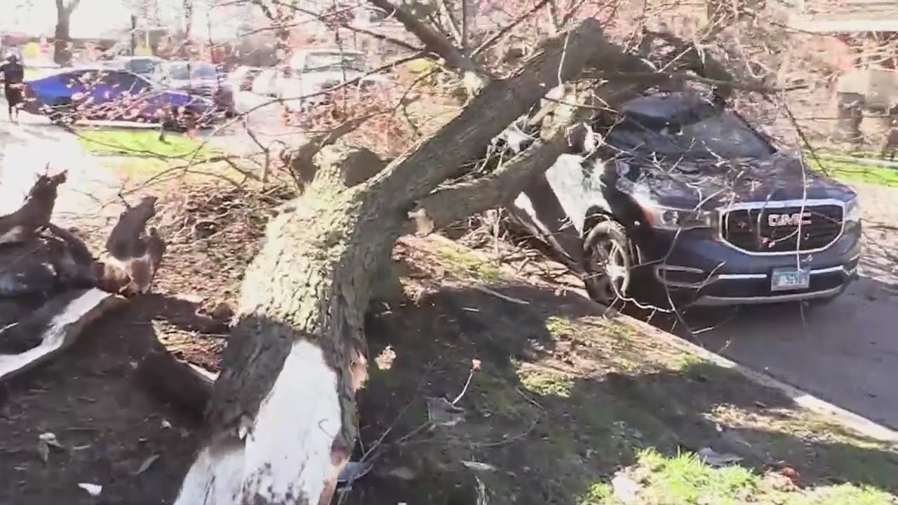 Car crashes into tree, apartment building on city's South Side - YouTube