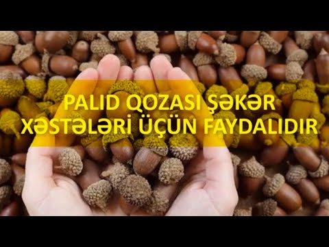 Video: Palıd çiçəkləri Nəyə Bənzəyir?