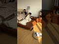 狭い部屋にぴったり！レトロ調ソファベッド #tiaro #tiarosmartfurniture #sofabed #sofa #fyp #livingroom