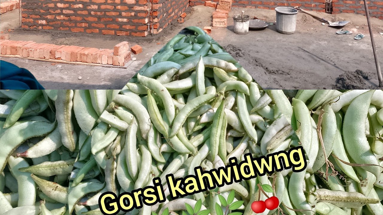 Dwibarnanwi tangbai ai mwnao 🏫🏫🌿❤️🥰