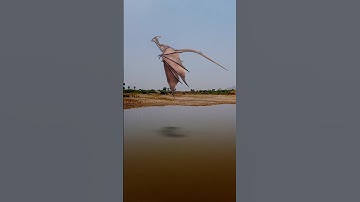 Flying Dragon 3D Animation in Blender #vfx #cgi #blender #animation  #short  #dragon