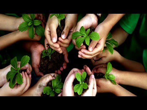 Video: Cum Se Scrie Un Proiect De Ecologie