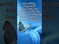 #today #quotes for more videos plz like and subscribe friends 🙏
