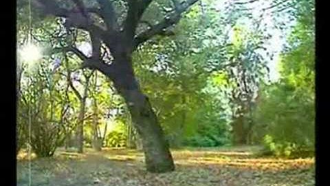 Backyard Composting Part 2