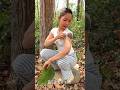 Survival Skills: SMART idea and USEFUL#bushcraft#camping#outdoors #survival