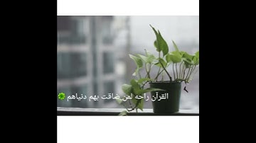 القرآن الكريم بصوت القارئ احمد خضر حالات واتس اب