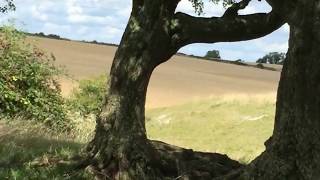 Hiking and Toking on an Epic Stoner Quest - South Downs Way part 1