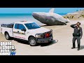 Police Animal Control Unit Vs. Beached Whale (GTA 5 LSPDFR)