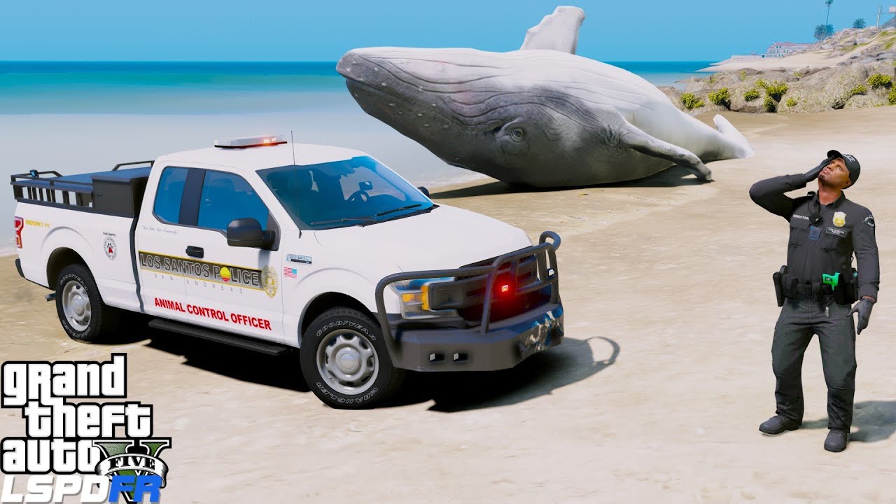 Police Animal Control Unit Vs. Beached Whale (GTA 5 LSPDFR)