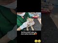 🥹cat ki help ki😊#facts #yt #cat #love #dog #latest #emotional #cute #kitty #shorts #fyp #viral #sad