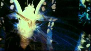Moonspell - Butterfly Fx (Uncensored Version)