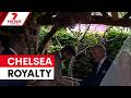 Aussie garden blooms at Chelsea Flower Show | 7NEWS
