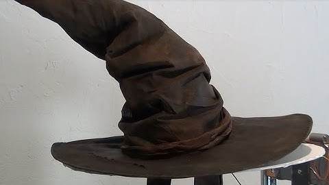 Real Life Harry Potter Sorting Hat!