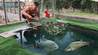 ho inserito i PRIMI PESCI nel LAGHETTO dei PESCI PREDATORI!