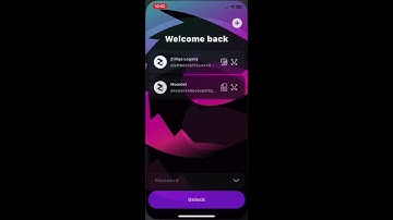 Plunder Guides; How to move from Atomic Wallet to ZilPay