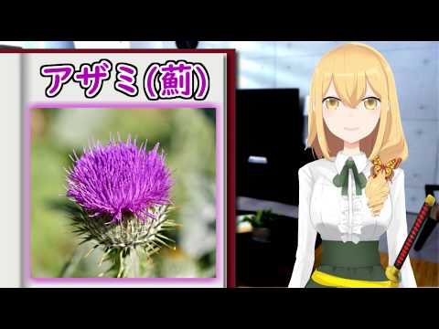 アザミ花言葉