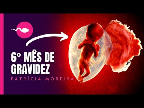 Vídeo: Seis Semanas Ou Seis Meses? A verdade sobre o sexo após o nascimento