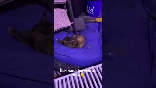 İllaki Vardır Her Evin Bir Delisi 🤣