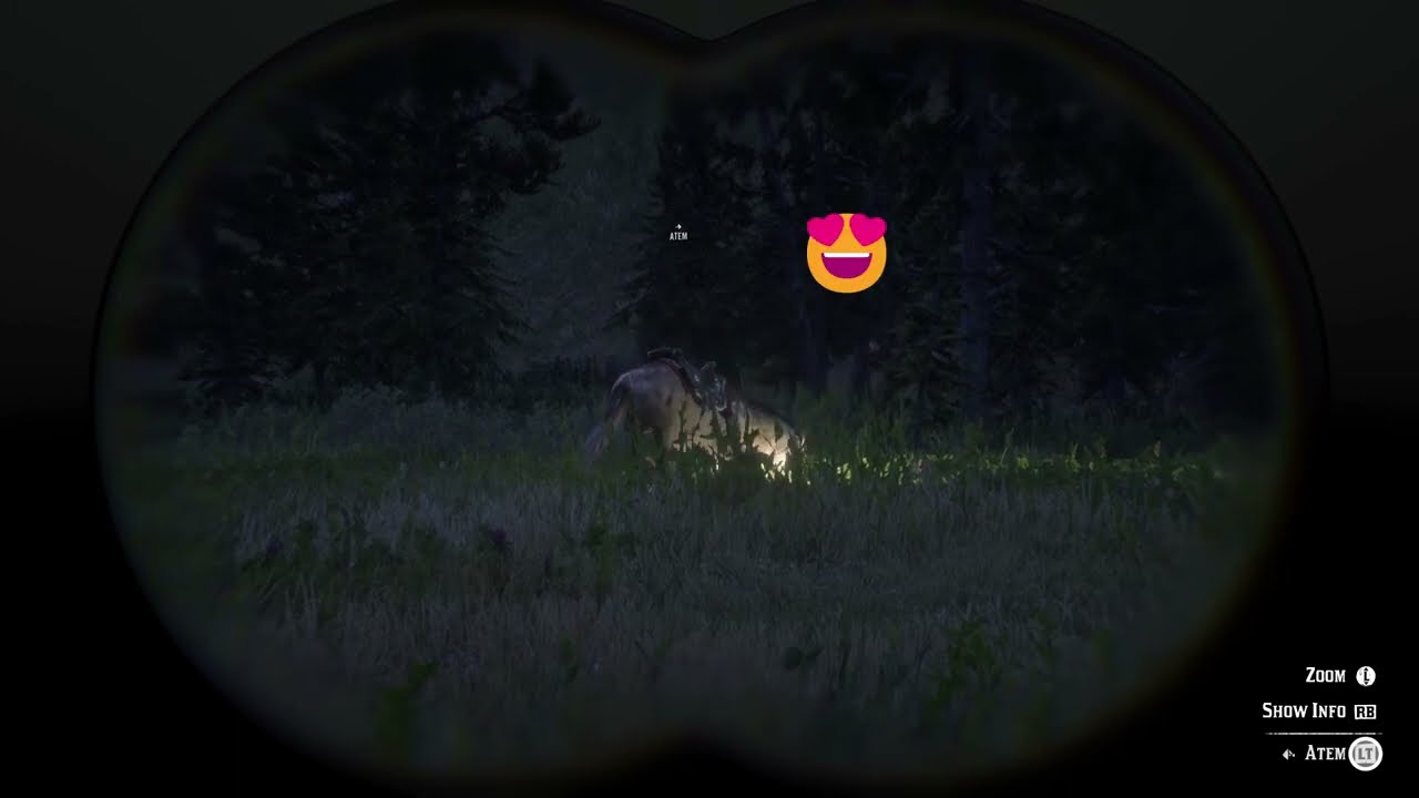 RdR 2 Online 🐎 Atem laying down (Cute Moment) 