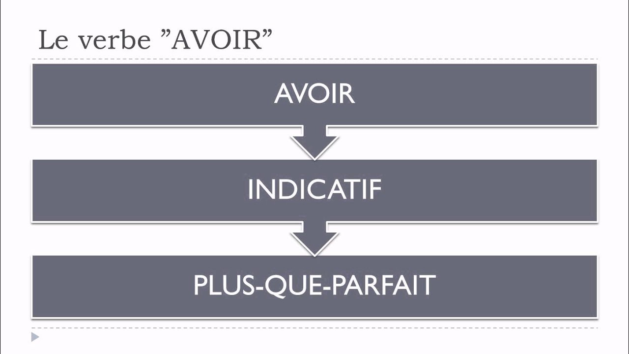Apprenez Le Francais Verbe Avoir Subjonctif Plus Que Parfait By Learn French With Vincent