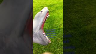 How a I scream /shark puppet screams and a plant screams