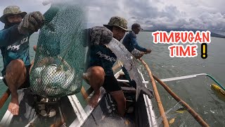 TIMBOG O PAMBUBULABOG NG ISDA | IMPERANZA