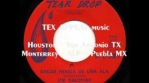 JOE SALDIVAR - Andas Herida de Un Ala